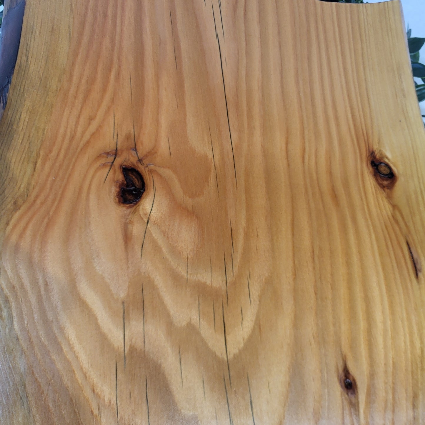 Live Edge Board -Large